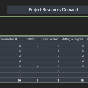 WBS - Project Resource Demand Report